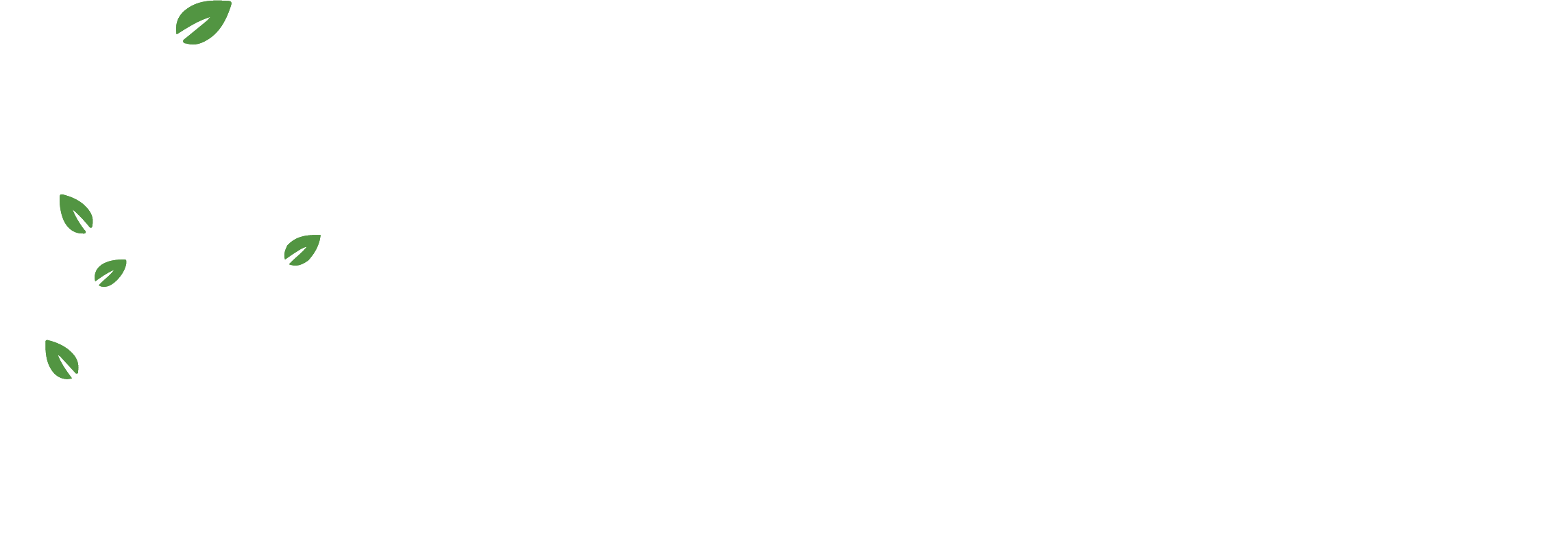 loader image